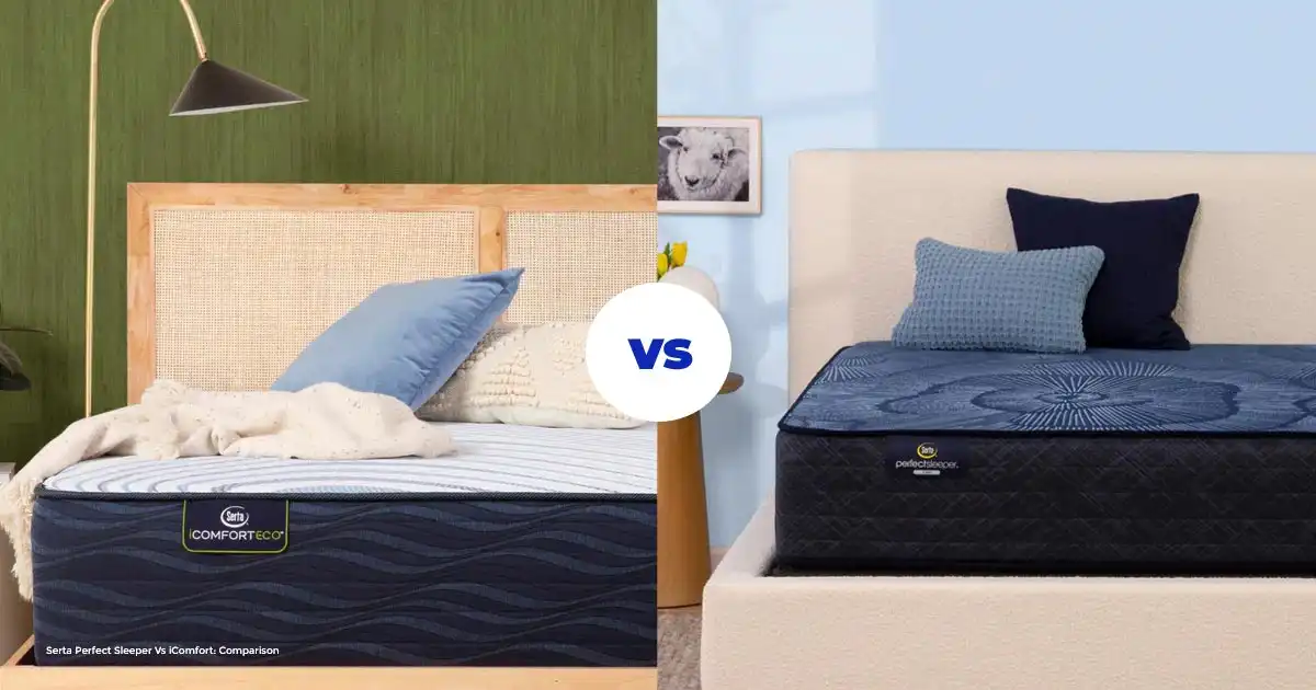 Serta Perfect Sleeper Vs iComfort Hybrid Comparison