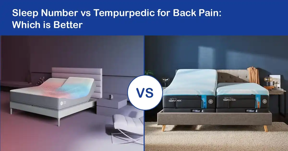 Sleep Number vs Tempurpedic for Back Pain